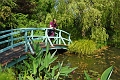 08 06 16_7127_edited-1